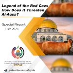 Legend of the Red Cow: How Does It Threaten Al-Aqsa?